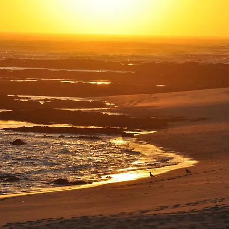 Bamboo House Apartament