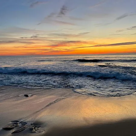 Bamboo House فيغيورا دا فوز