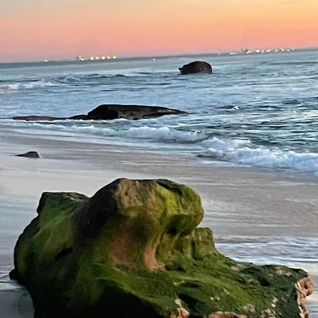 Bamboo House شقة فيغيورا دا فوز