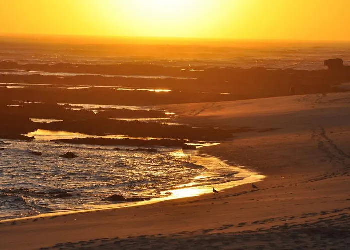 Bamboo House Appartamento