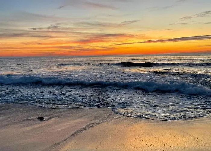 Bamboo House Figueira da Foz